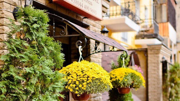 A building with a sign reading "Sherborne Apartments." There are potted plants and a small tree in front of the entrance. - Sherborne ApartHotel (Kyiv)