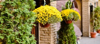 Sherborne ApartHotel