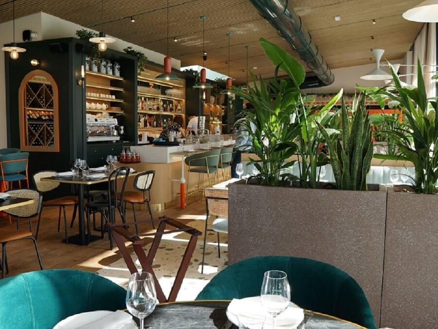 Mittagessen, Abendessen, italienische Küche, Blick auf den Garten