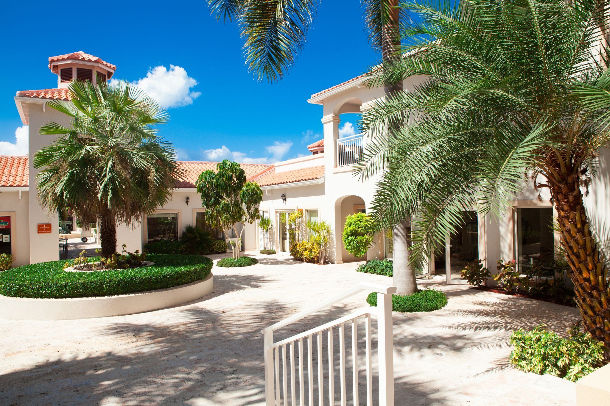 lunch and dinner served