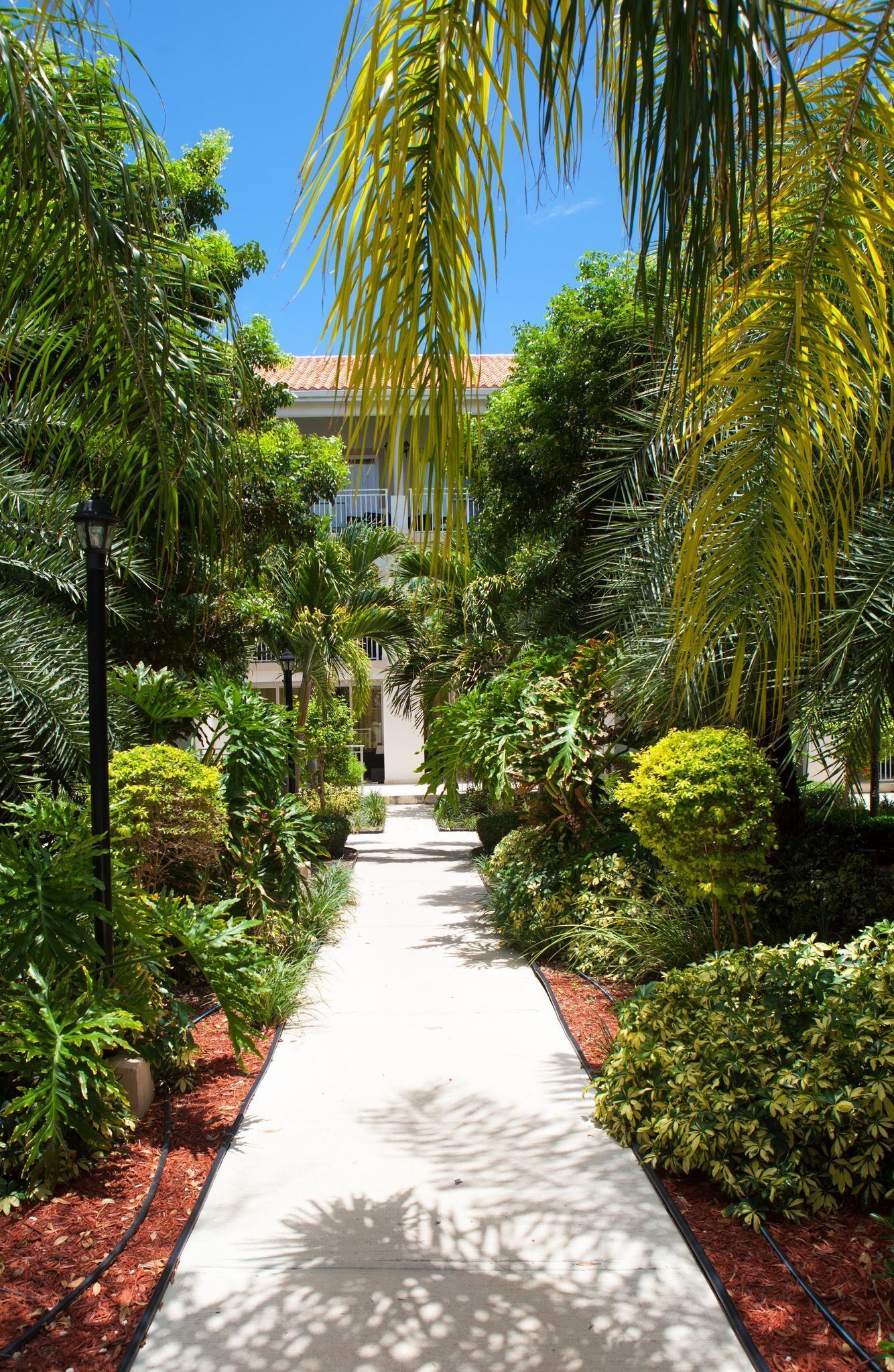 Foto - Hotel La Vista Azul