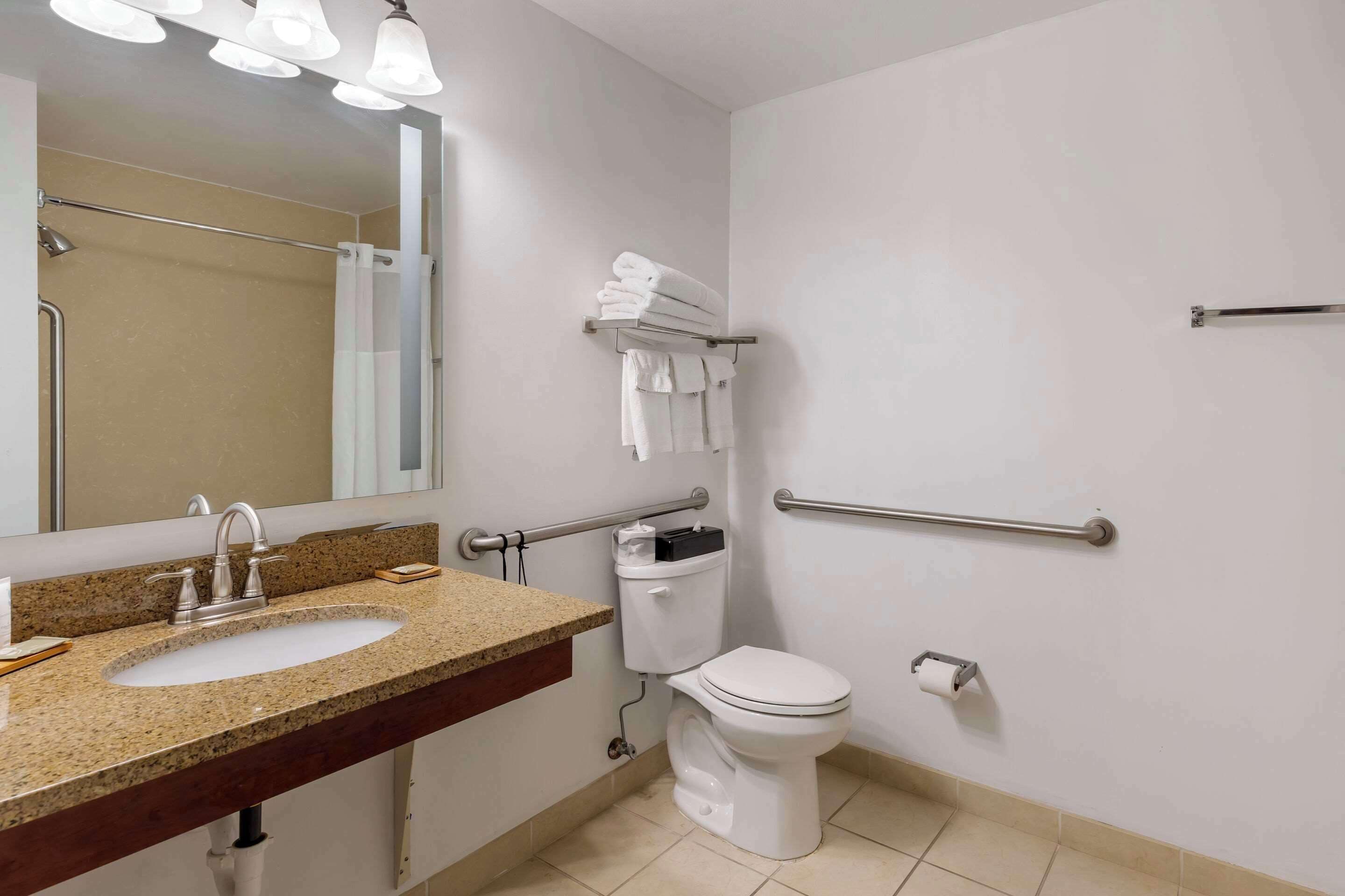 room, 1 king bed, accessible, non smoking | 1 bedroom, premium bedding, pillow-top beds, in-room safe