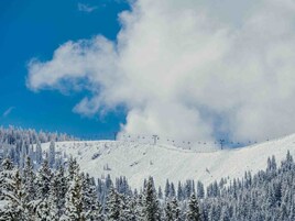 Paisaje nevado de montaña con un telesilla y árboles cubiertos de nieve.