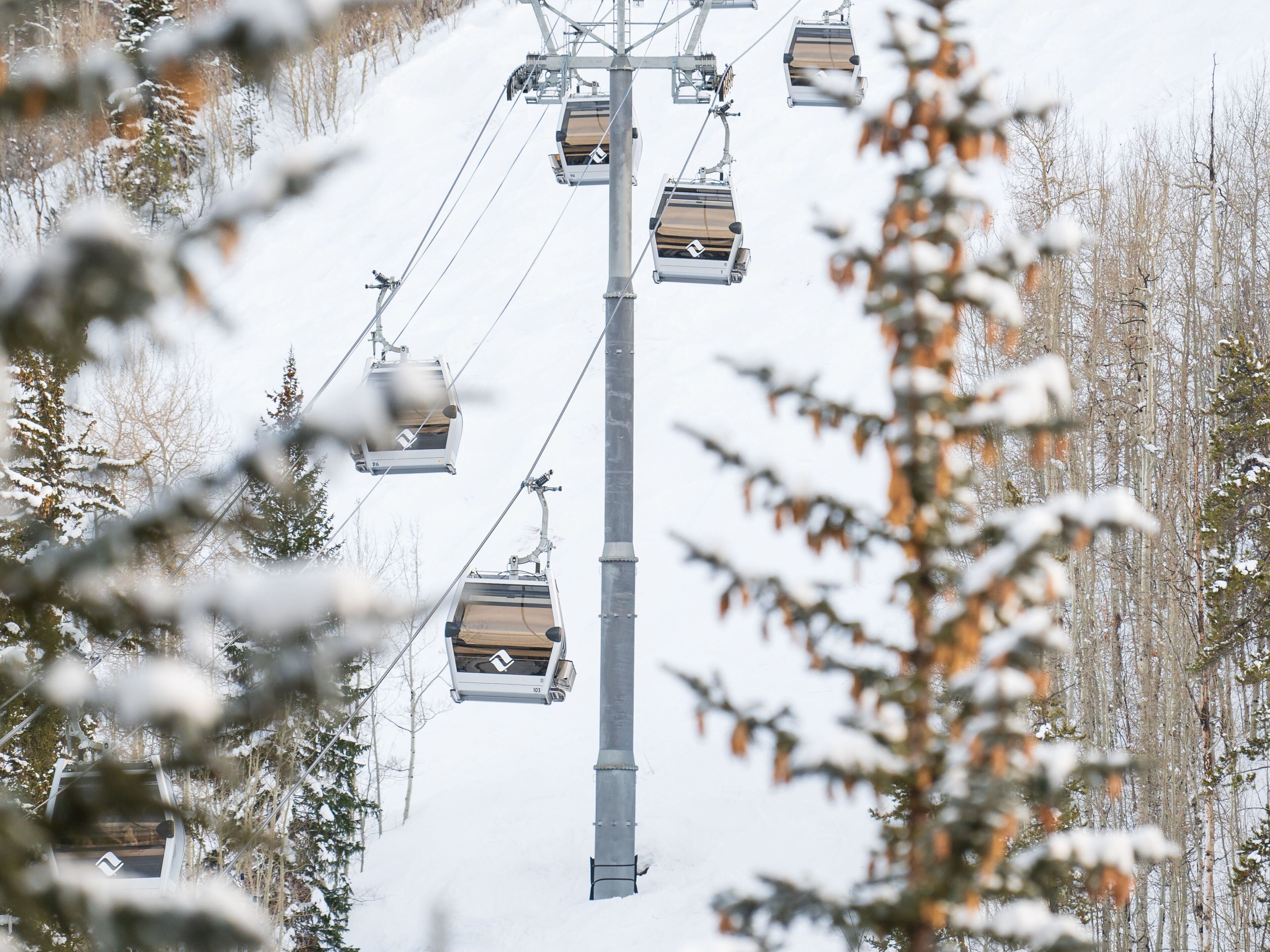 A cable car system with multiple cabins suspended from a central pole, surrounded by snow-covered trees.