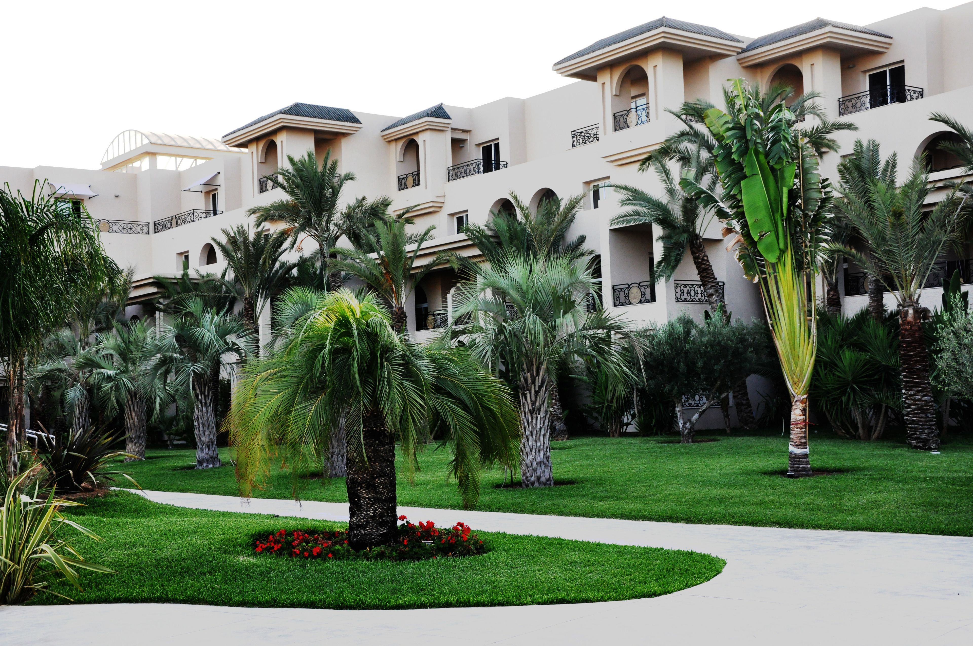 Un patio de hotel con palmeras, un sendero y un edificio con balcones.