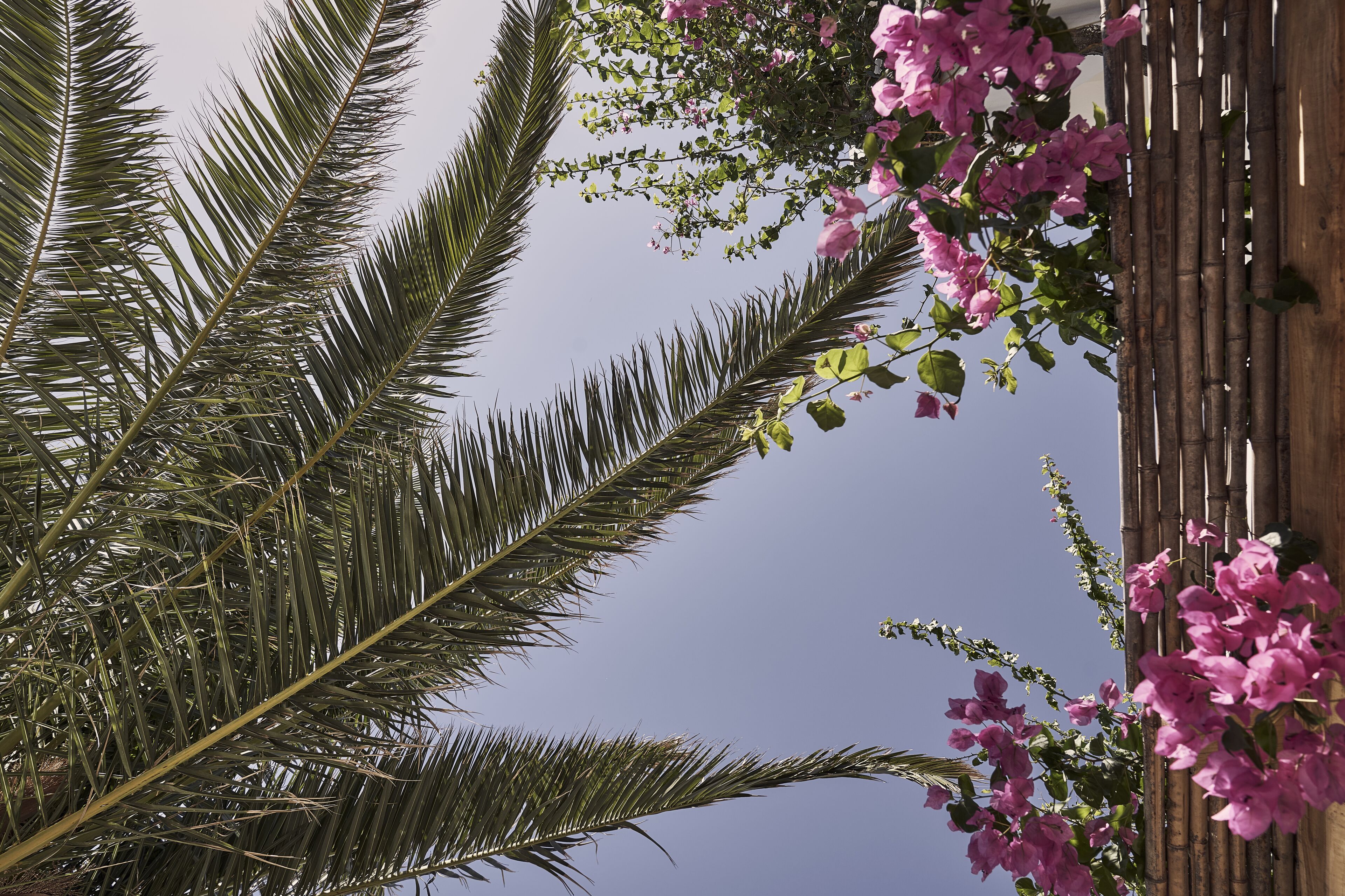 studio suite, private pool | terrace/patio