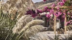 A garden with tall white ornamental grasses and pink bougainvillea flowers. - Dionysos Beach Resort & Villas (Ios)