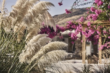 Exterior. Dionysos Sea Side Resort
