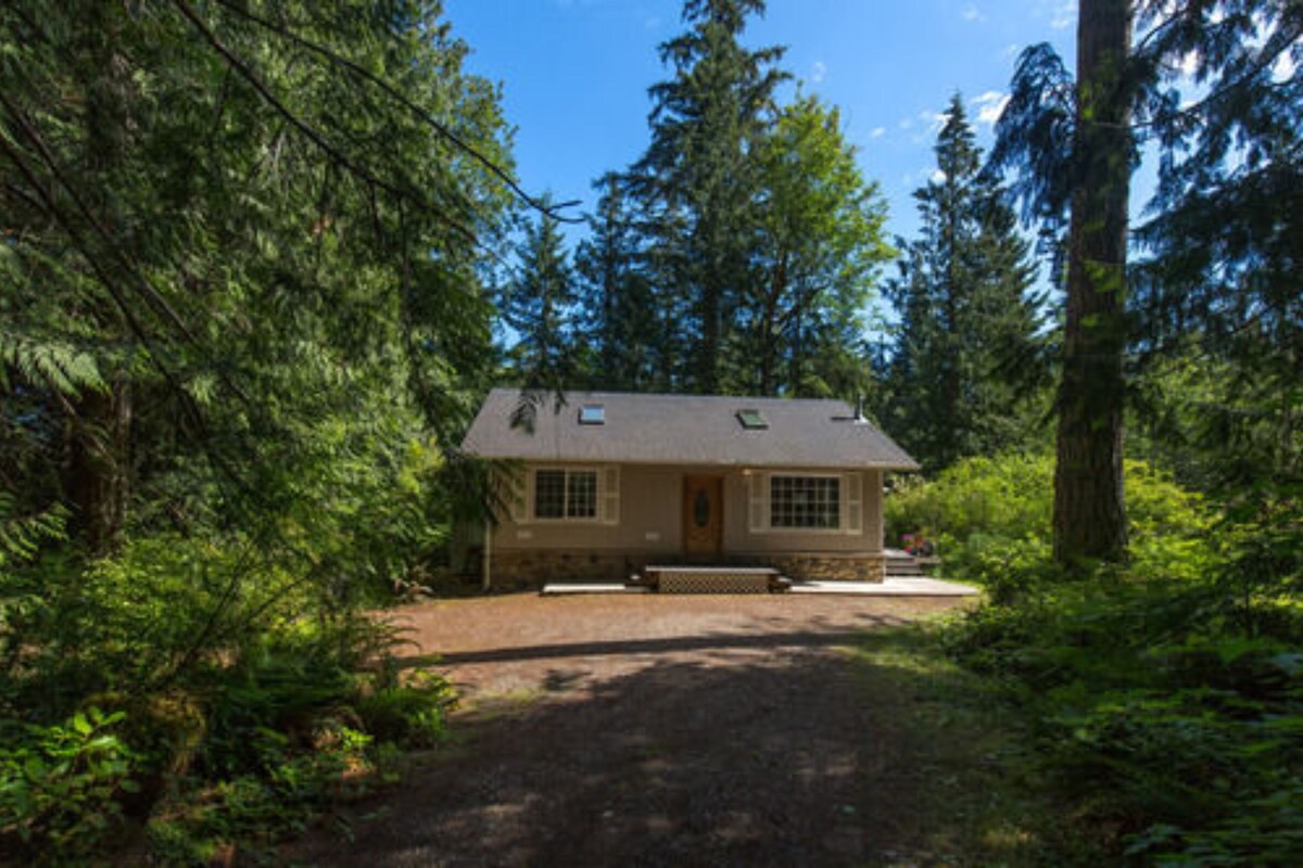 A small, single-story cabin surrounded by dense forest.
