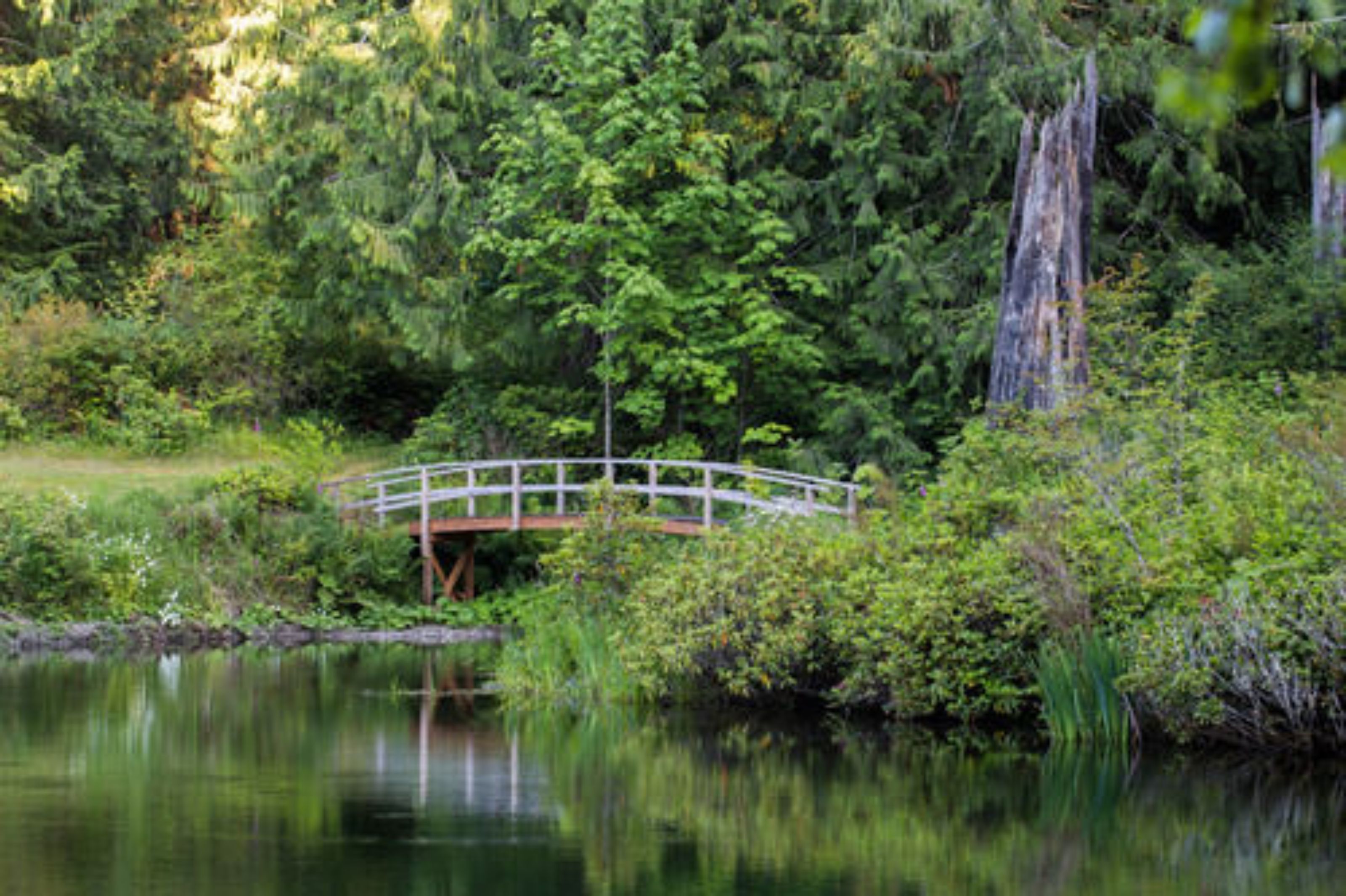 湖泊