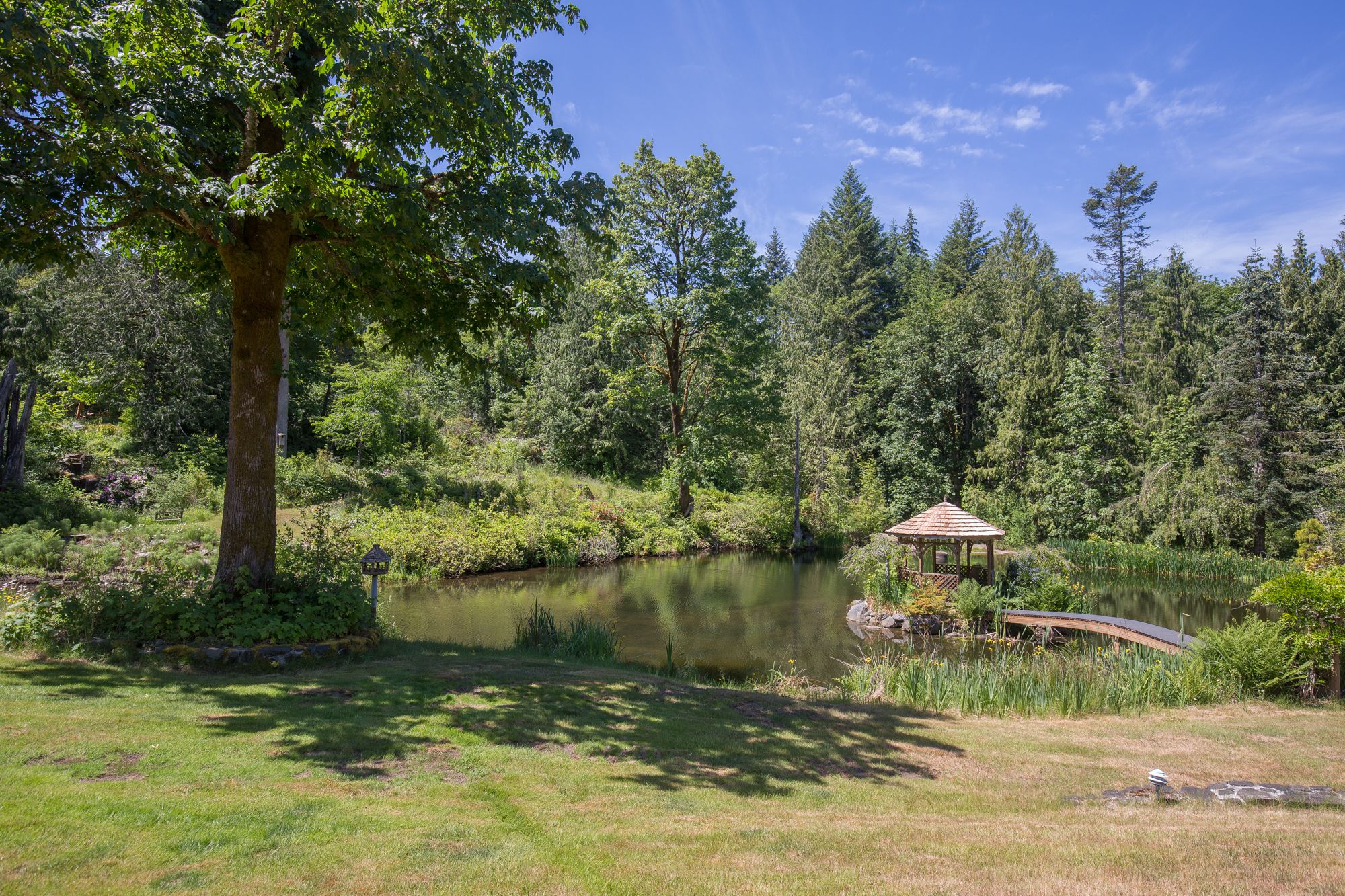 A tranquil park with a pond, a gazebo, and dense forest in the background.