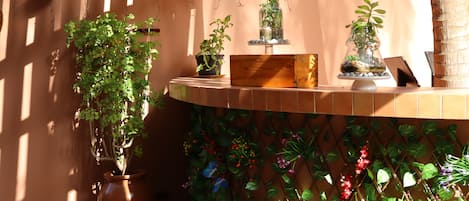 Una maceta de terracota con una planta, un banco de madera y una pared con plantas trepadoras y un frasco de vidrio con una planta.