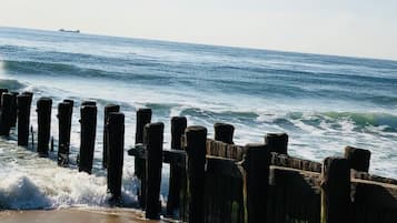 Playa en los alrededores