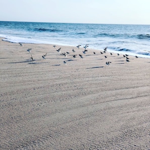 Una spiaggia nelle vicinanze