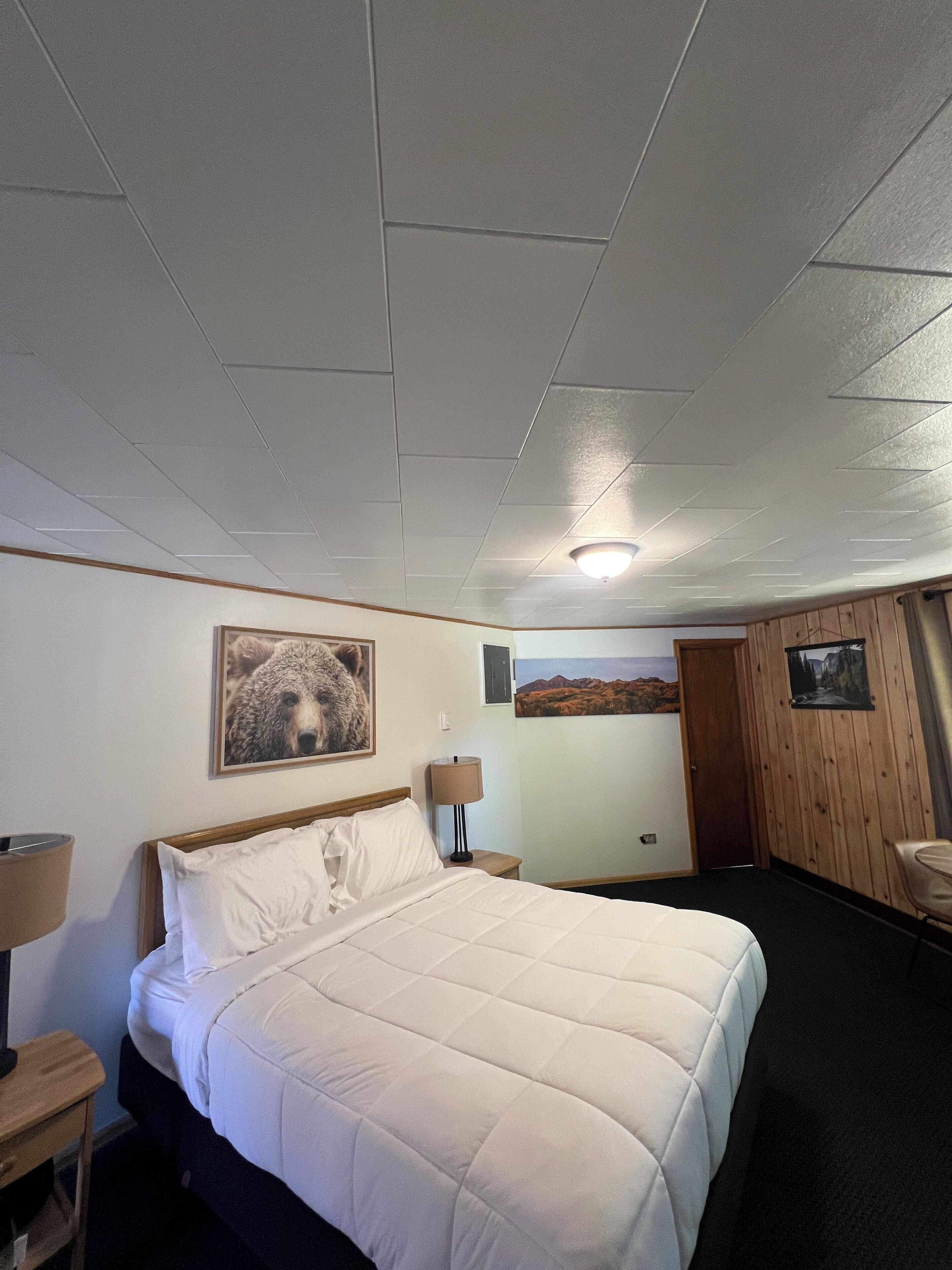 Quarto de hotel com uma cama, uma mesa de cabeceira, uma luminária, um quadro de um urso na parede e uma porta para outro quarto.