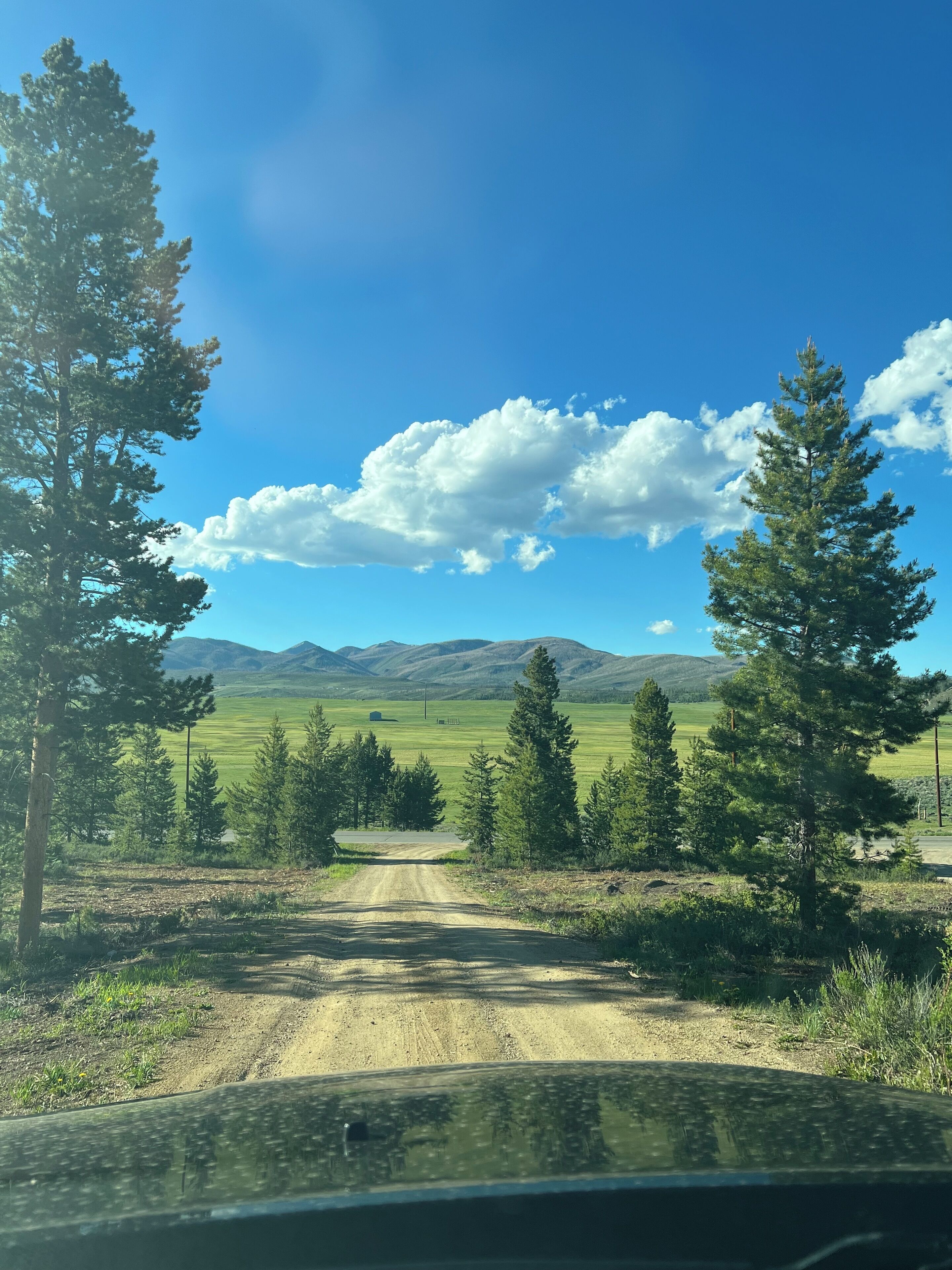 A dirt road leading through a forest with mountains in the background.