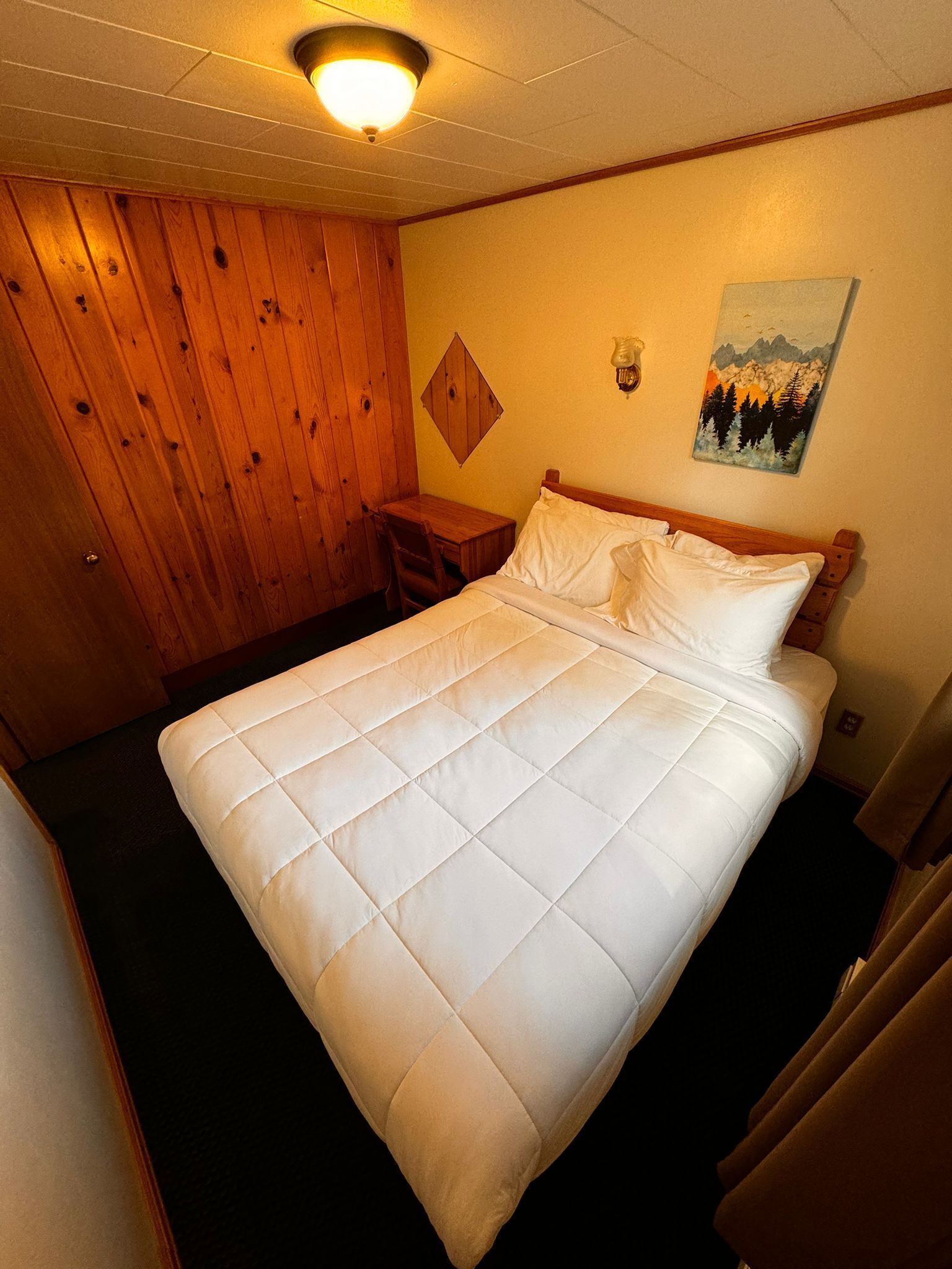 Een kamer met een bed, een bureau en een stoel. Er hangt een schilderij aan de muur en een lamp boven het bed.