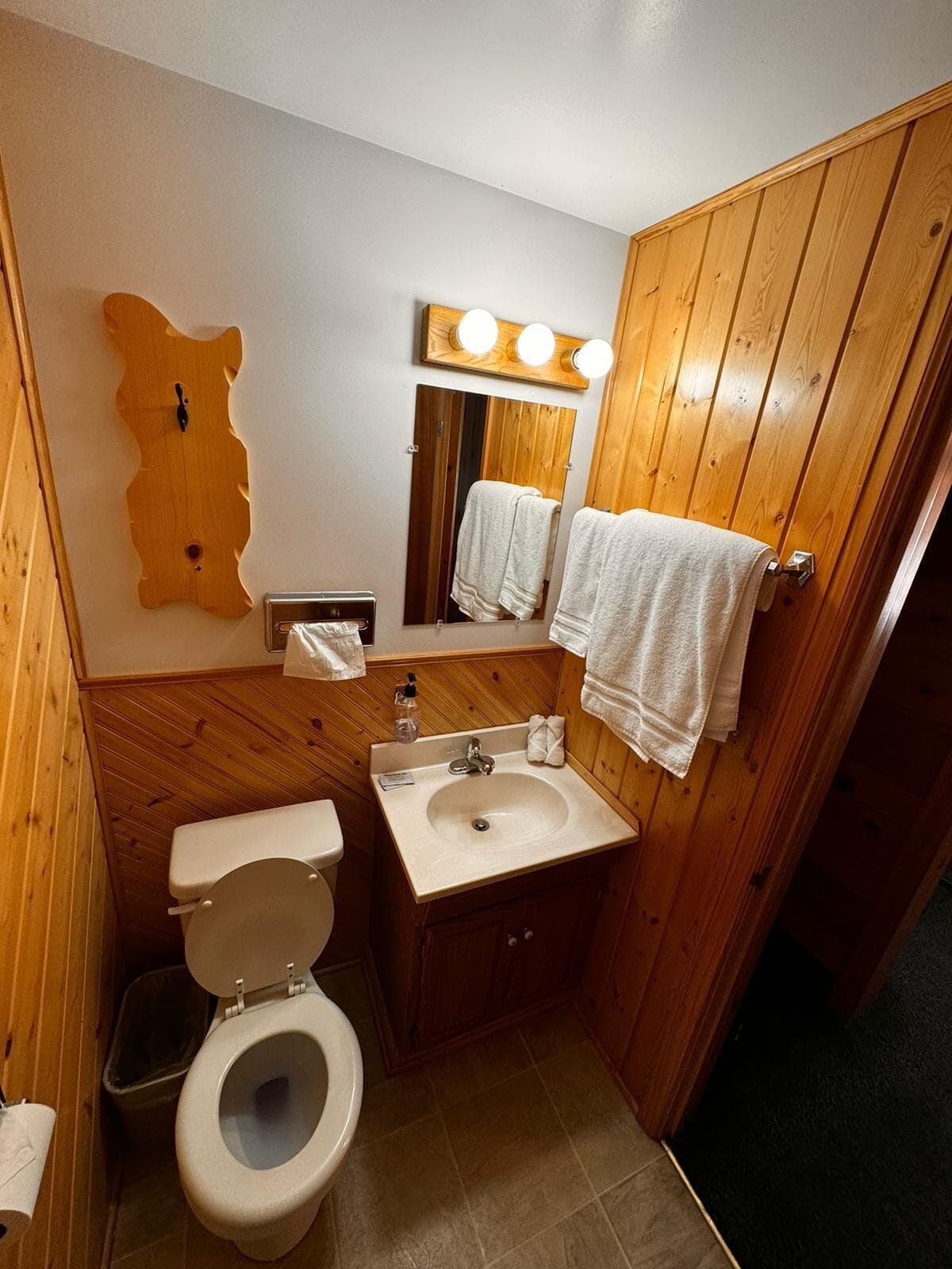 Un baño pequeño con tocador de madera, inodoro y lavamanos.