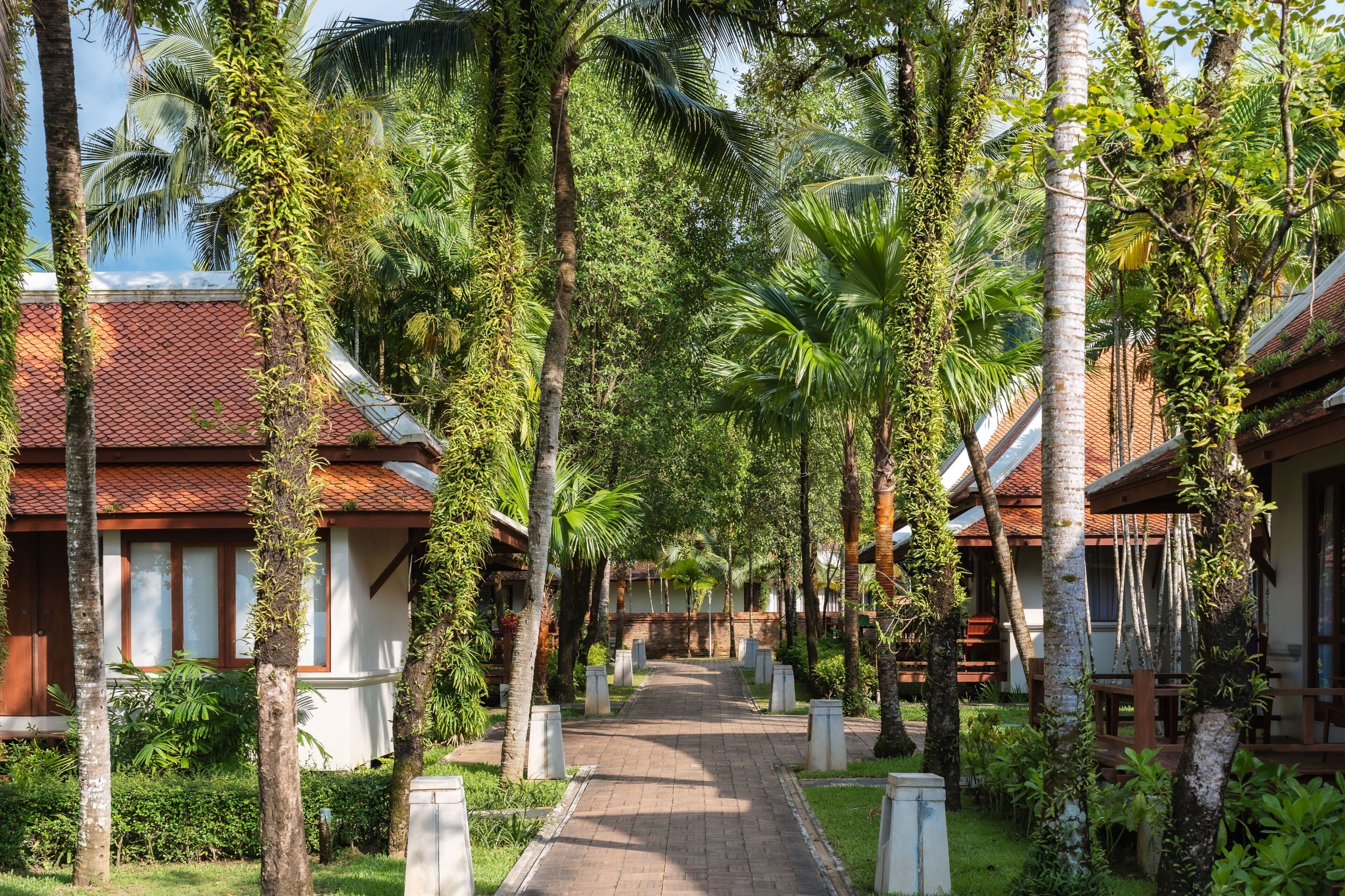 oriental villa | garden view