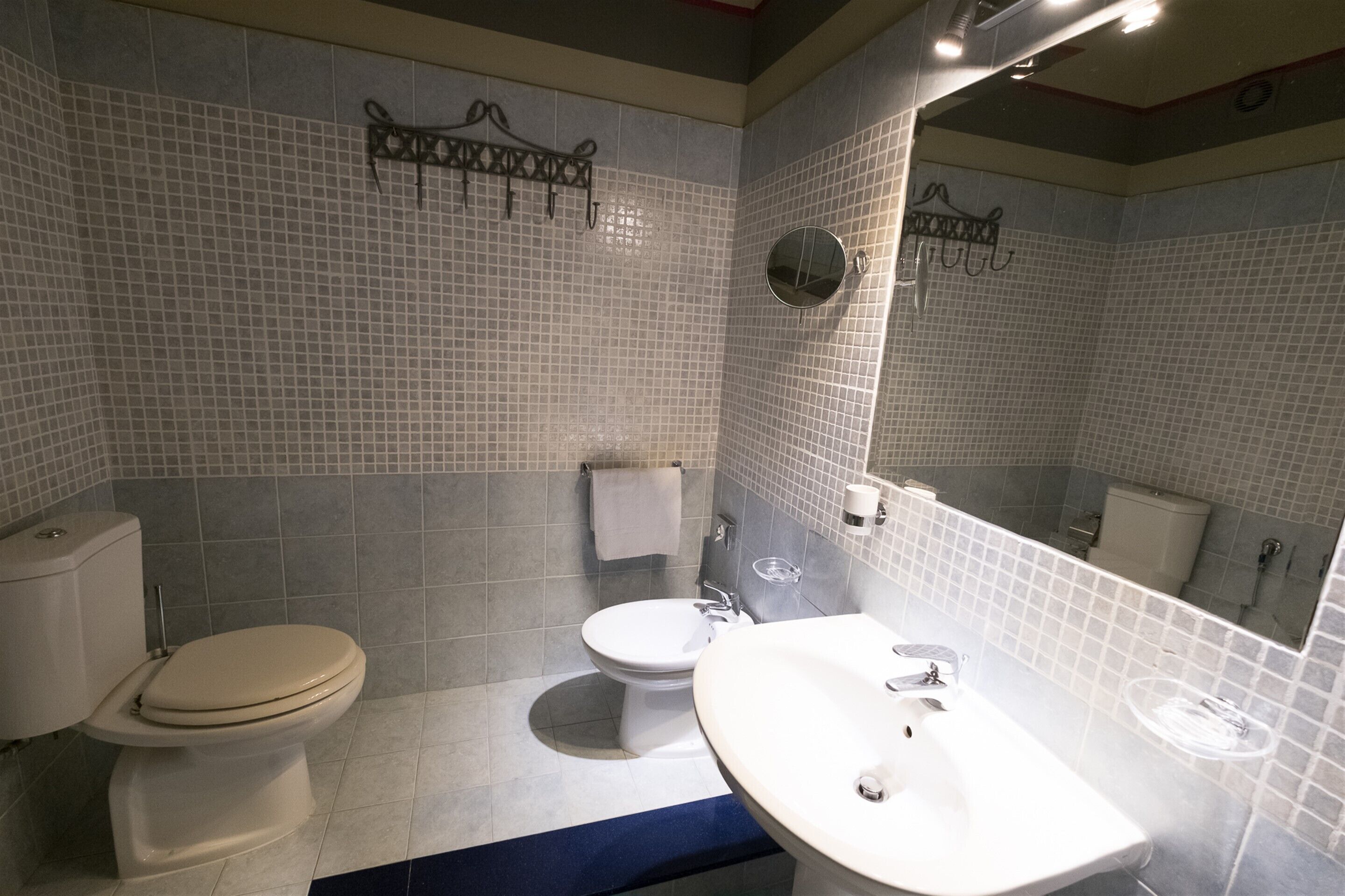 shower, free toiletries, hair dryer, bidet