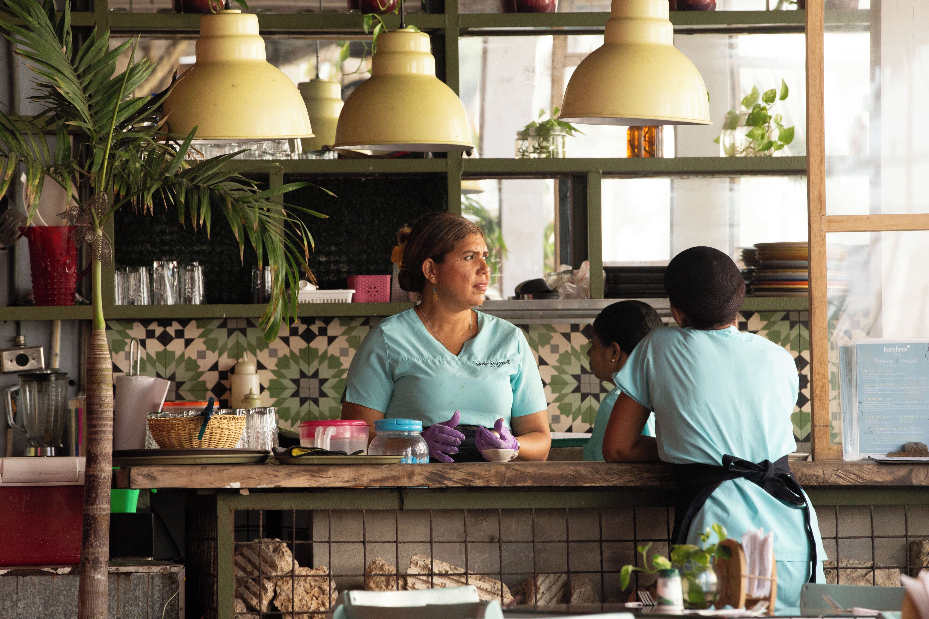A kitchen counter with a person preparing food, a potted plant, and kitchen utensils.