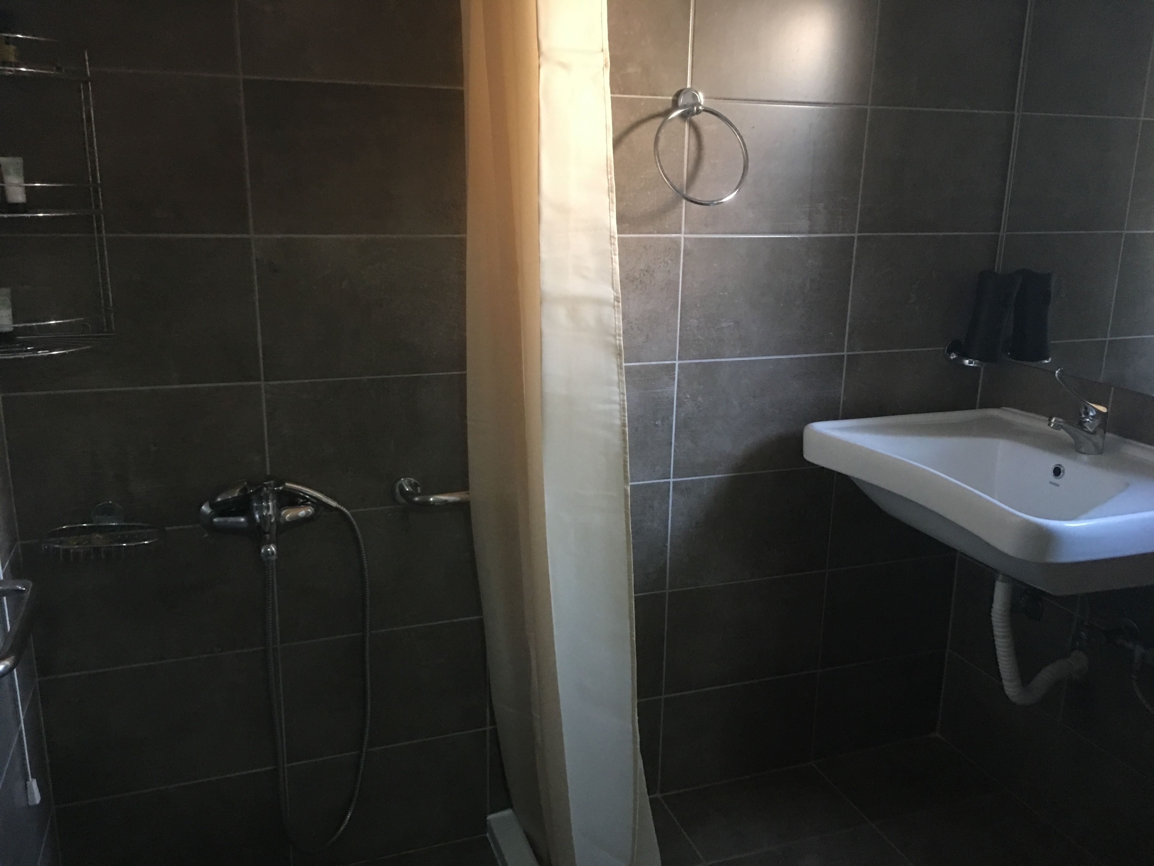 A bathroom with a shower, a sink, and a towel ring.