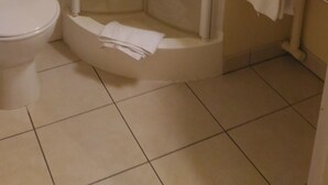 Een badkamer met een douchecabine, een wit toilet en een wastafel met een handdoek aan de muur.