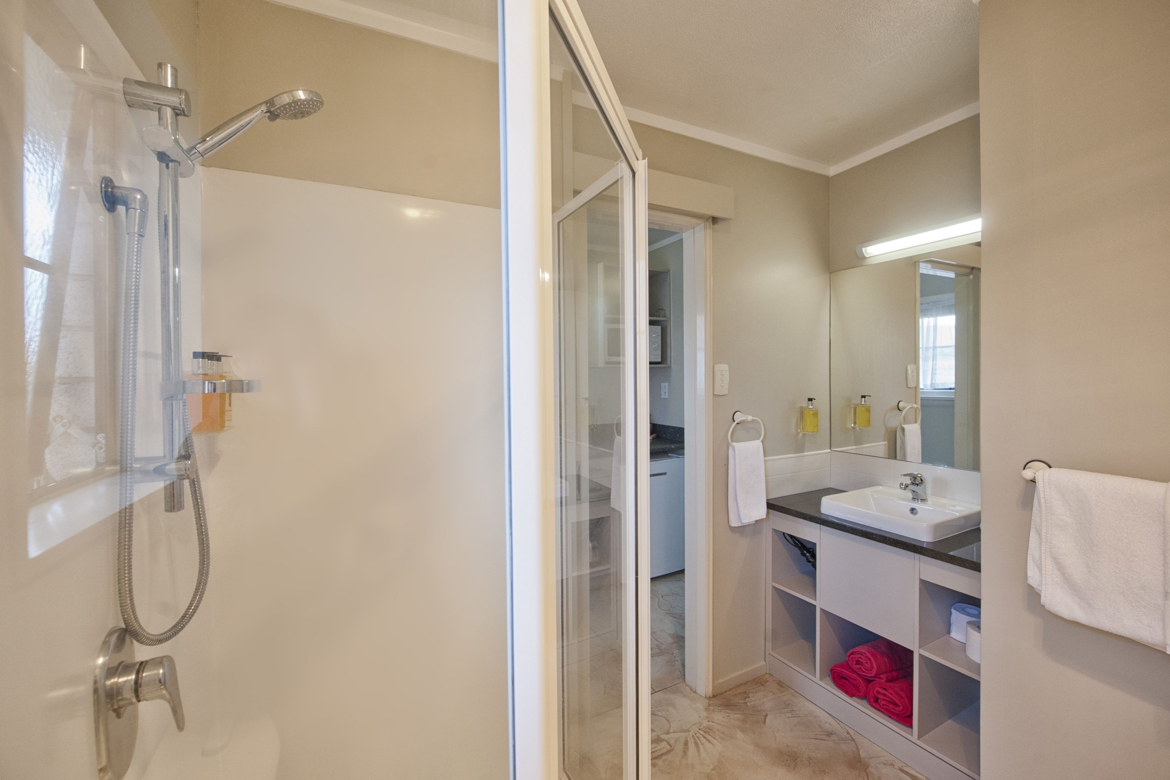 A modern bathroom with a glass shower enclosure, a white sink, and a mirror.