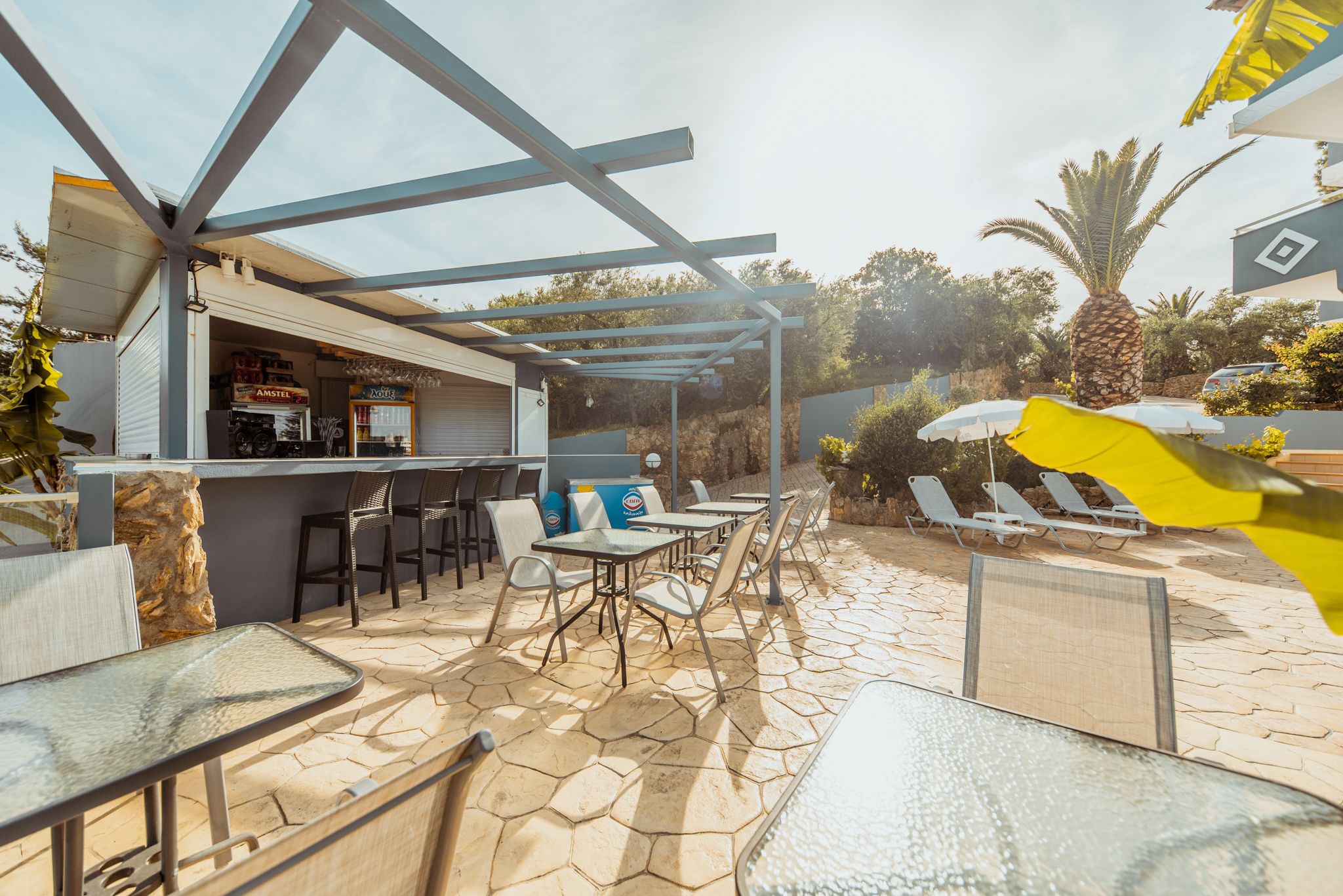 Foto - Zante Calinica Hotel