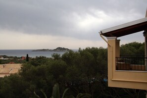 Vistas desde la habitación