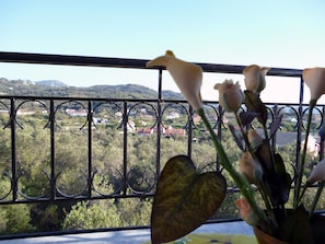 View from room - Villa Helen's Apartments (Corfu)