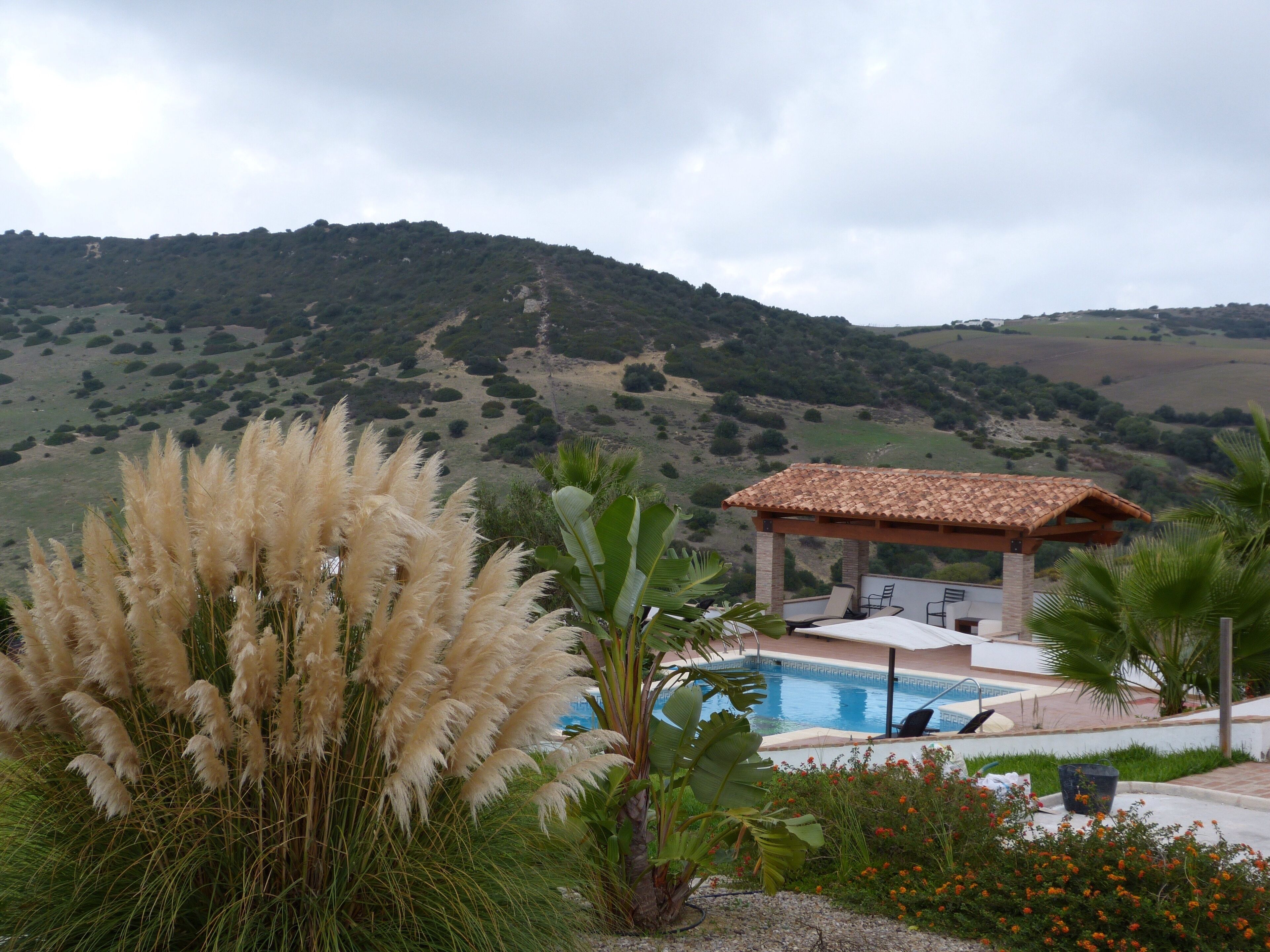 Zona de piscina con una pérgola, rodeada de plantas tropicales y vistas a colinas ondulantes.