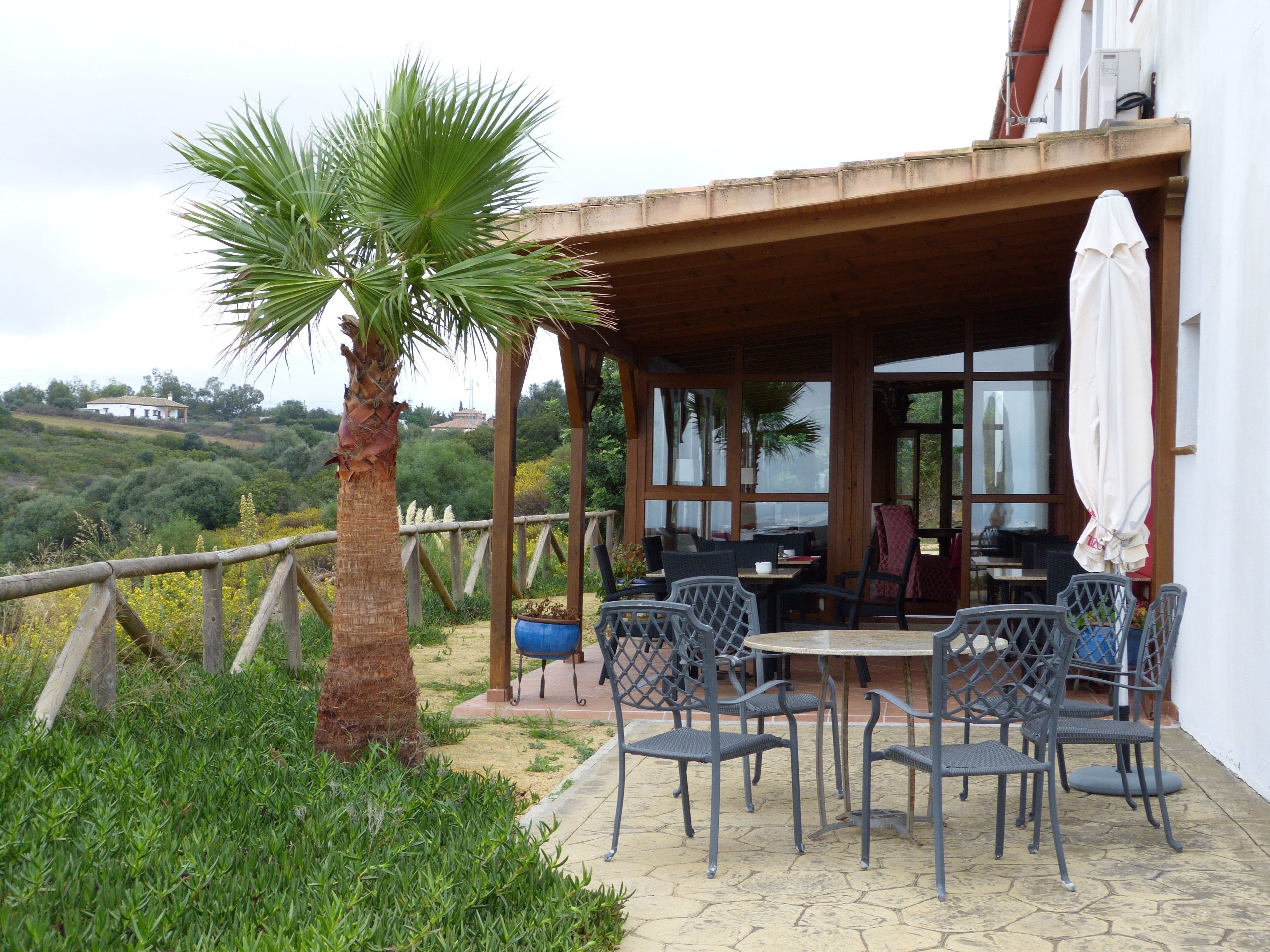 An outdoor patio with a wooden pergola, a table with chairs, and a palm tree.