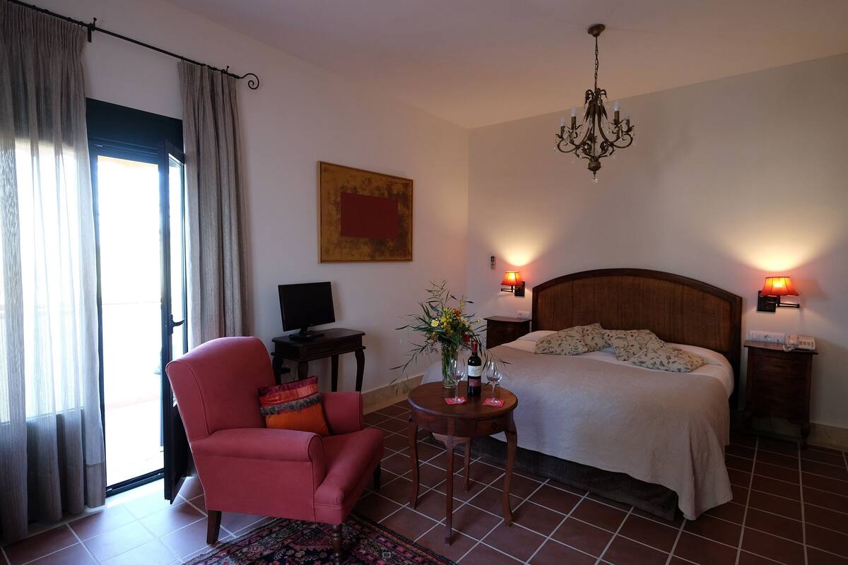 Quarto de hotel com cama, uma cadeira, uma mesa com um vaso e vinho, e uma televisão.