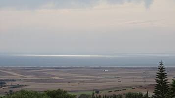 Un paisaje costero con campos y una vista distante del mar.