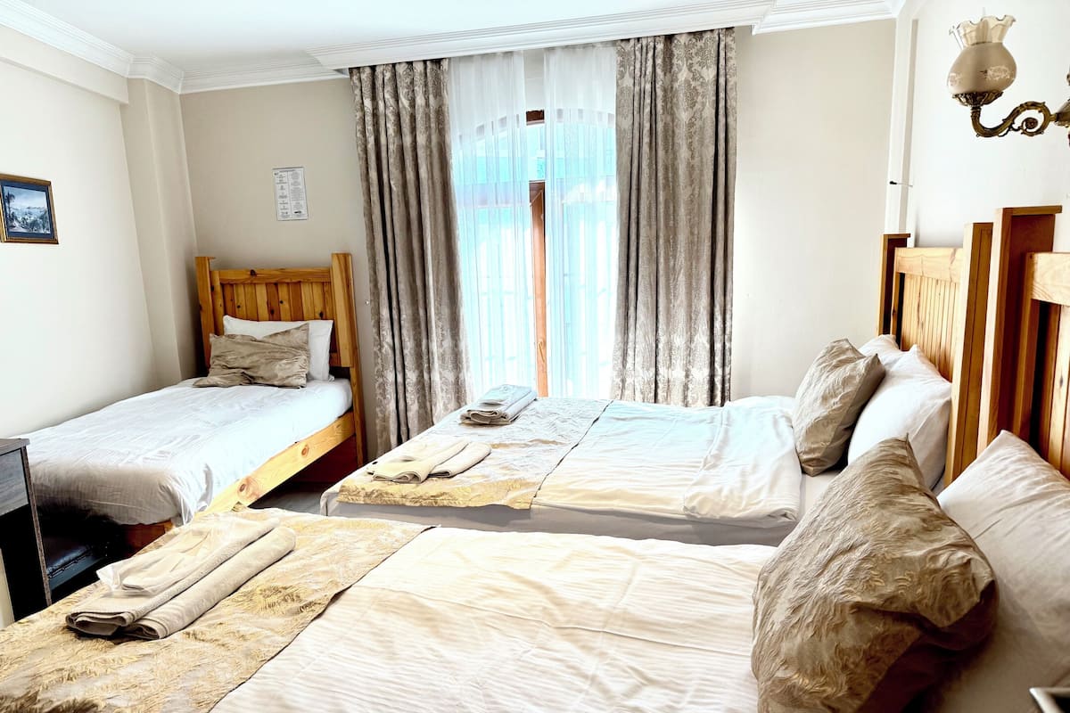 Triple Room | Hypo-allergenic bedding, in-room safe, individually decorated, desk