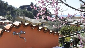 An outdoor kitchen with a sink and a barbecue grill, surrounded by a terracotta wall and a view of a residential area. - Cà du Ferrà Farm & Relax (Bonassola)