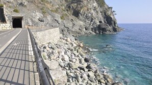 A coastal road with a stone wall and a tunnel entrance. - Cà du Ferrà Farm & Relax (Bonassola)