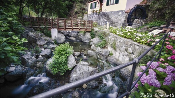 A rustic stone bridge over a small stream, surrounded by lush greenery and a building with a water wheel. - Cà du Ferrà Farm & Relax (Bonassola)