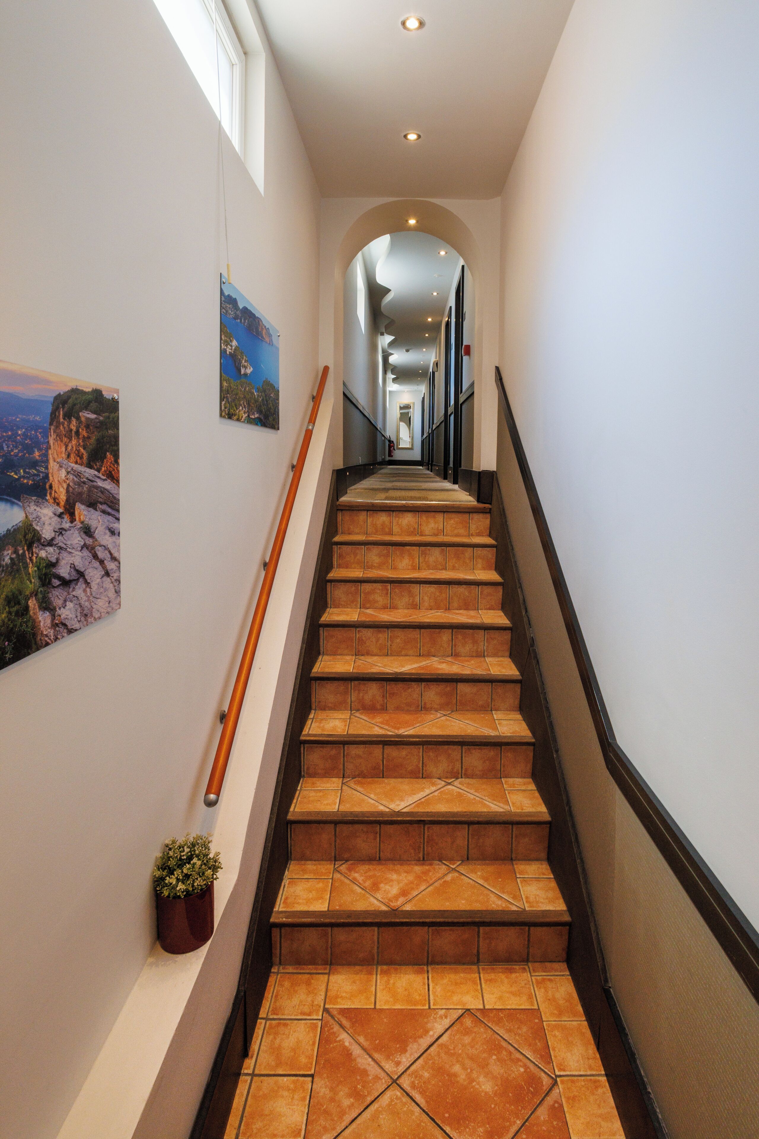 Una escalera con barandilla de madera, una planta en maceta e imágenes colgadas en la pared.