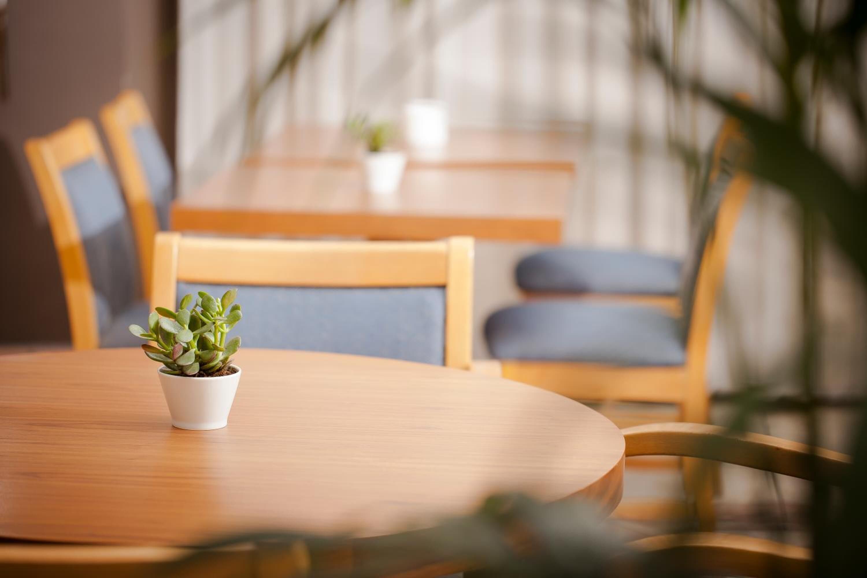 Foto - Telioni Hotel