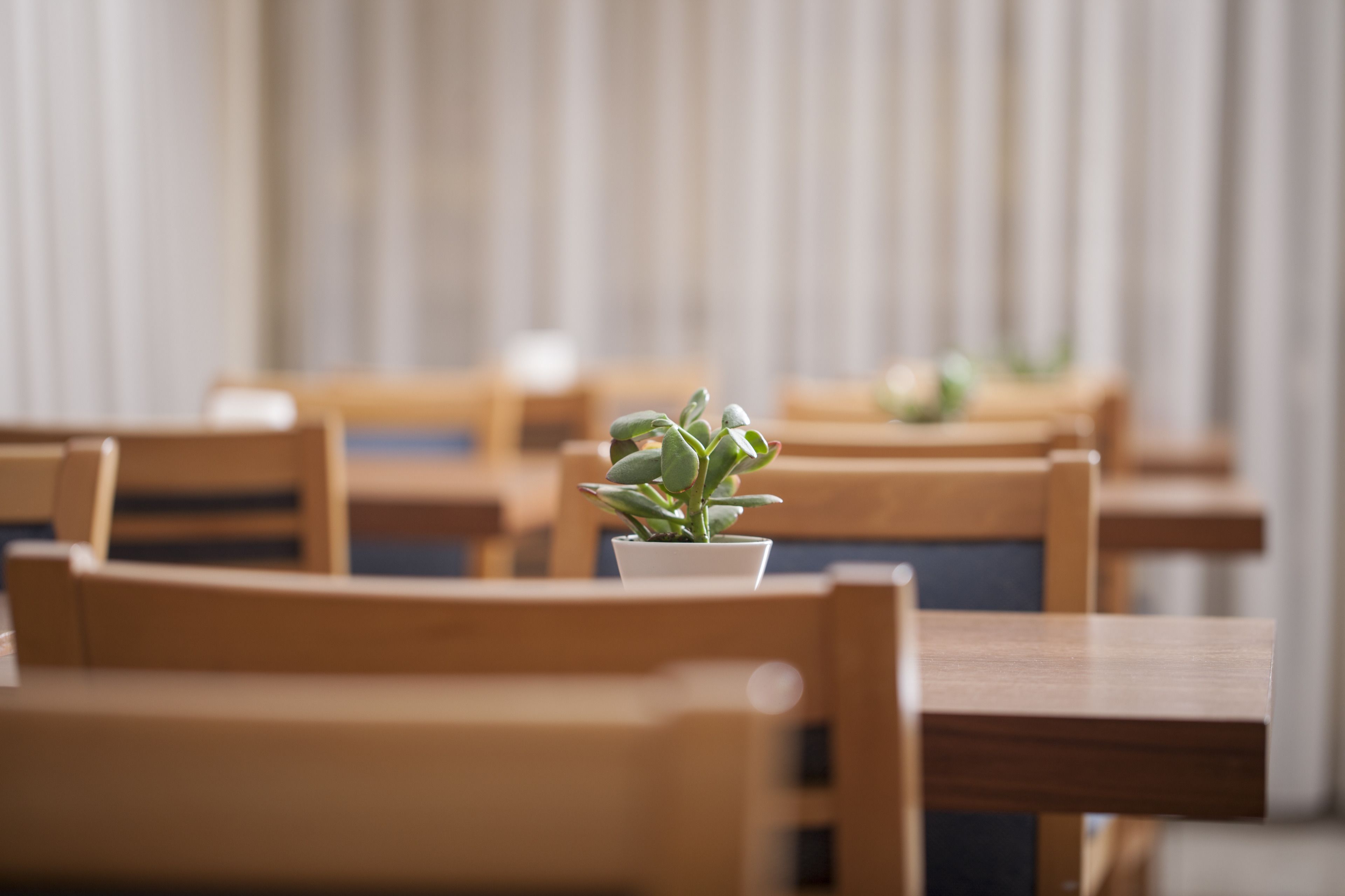 Foto - Telioni Hotel