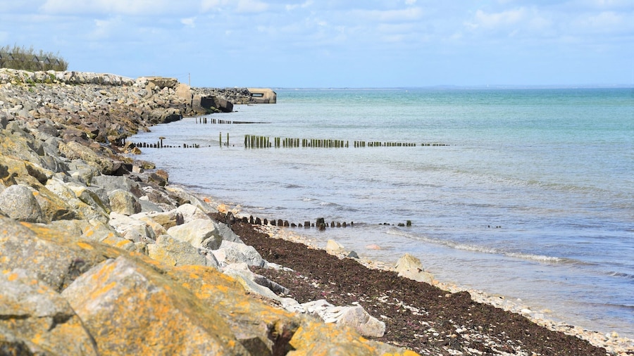 Adonis Grandcamp - Les Isles de Sola
