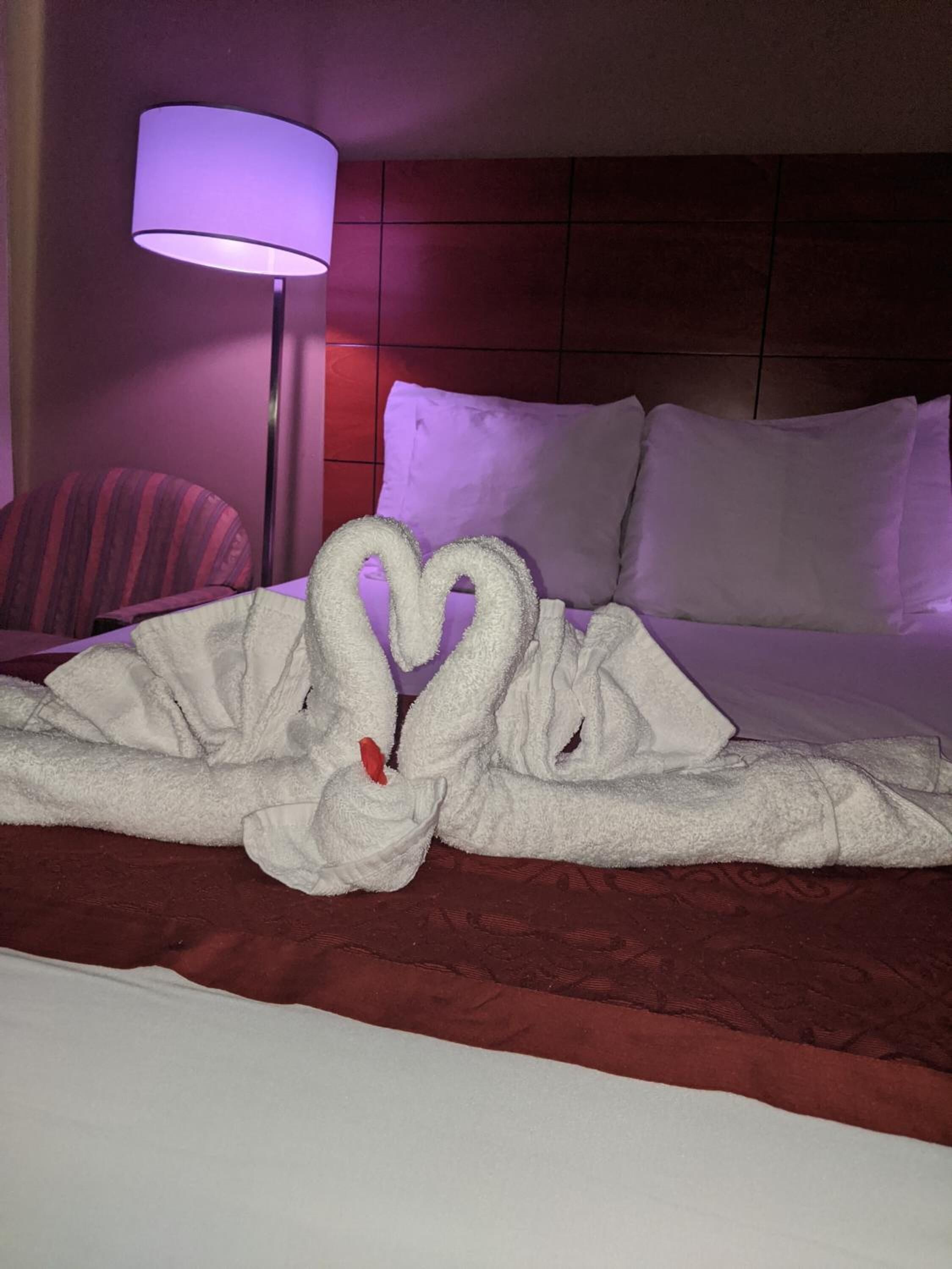 Foto - Jets Motor Inn