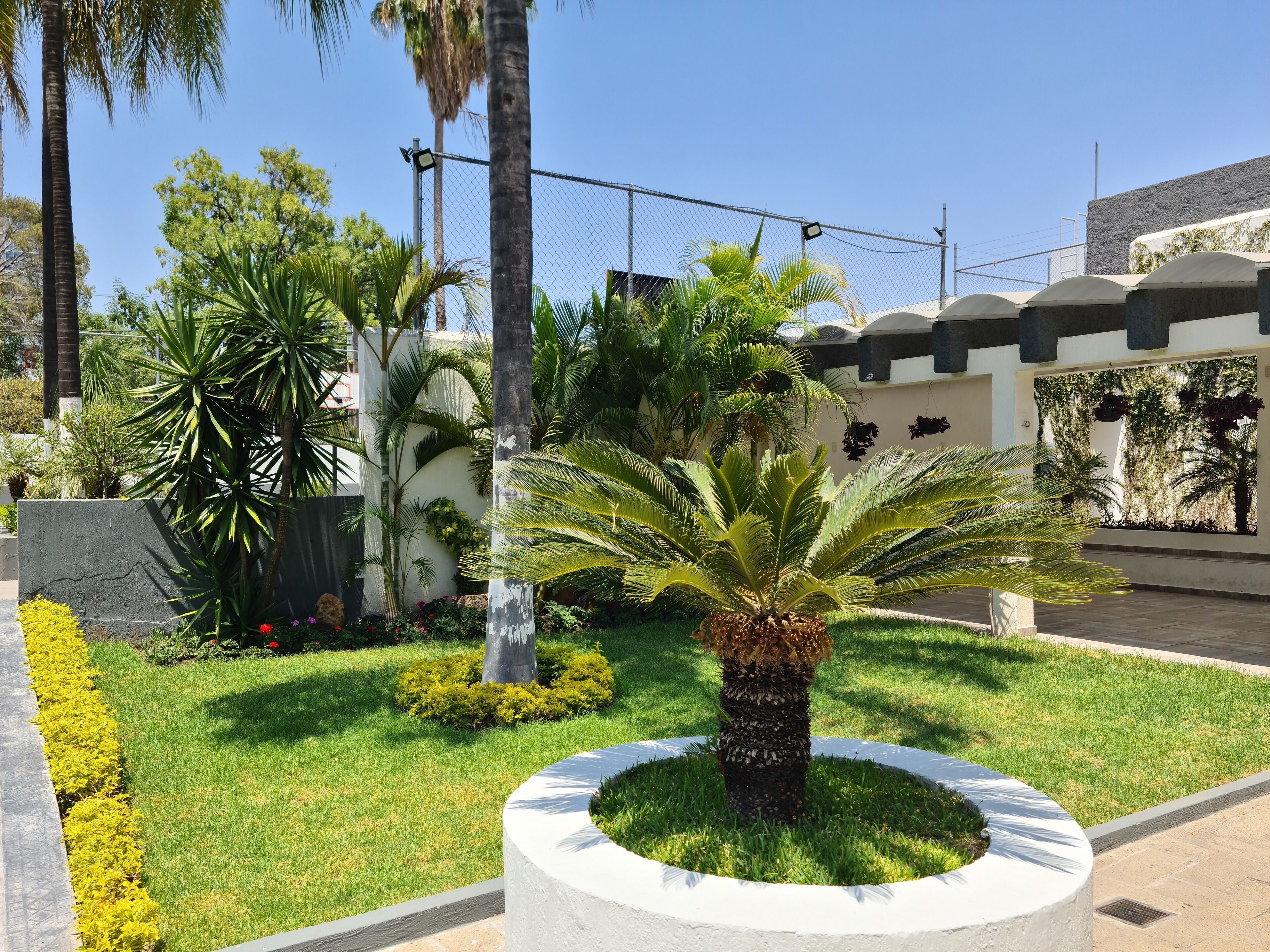 Foto - Hotel Las Pergolas