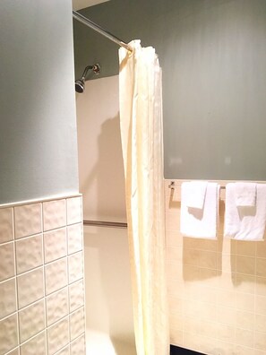 Standard Room, 1 Queen Bed, Accessible | Bathroom shower
