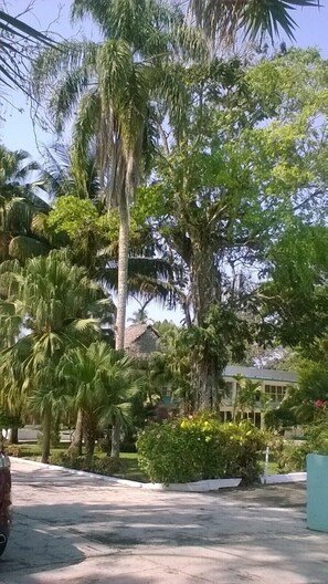 Property grounds - Hotel Playa Azul (Catemaco)