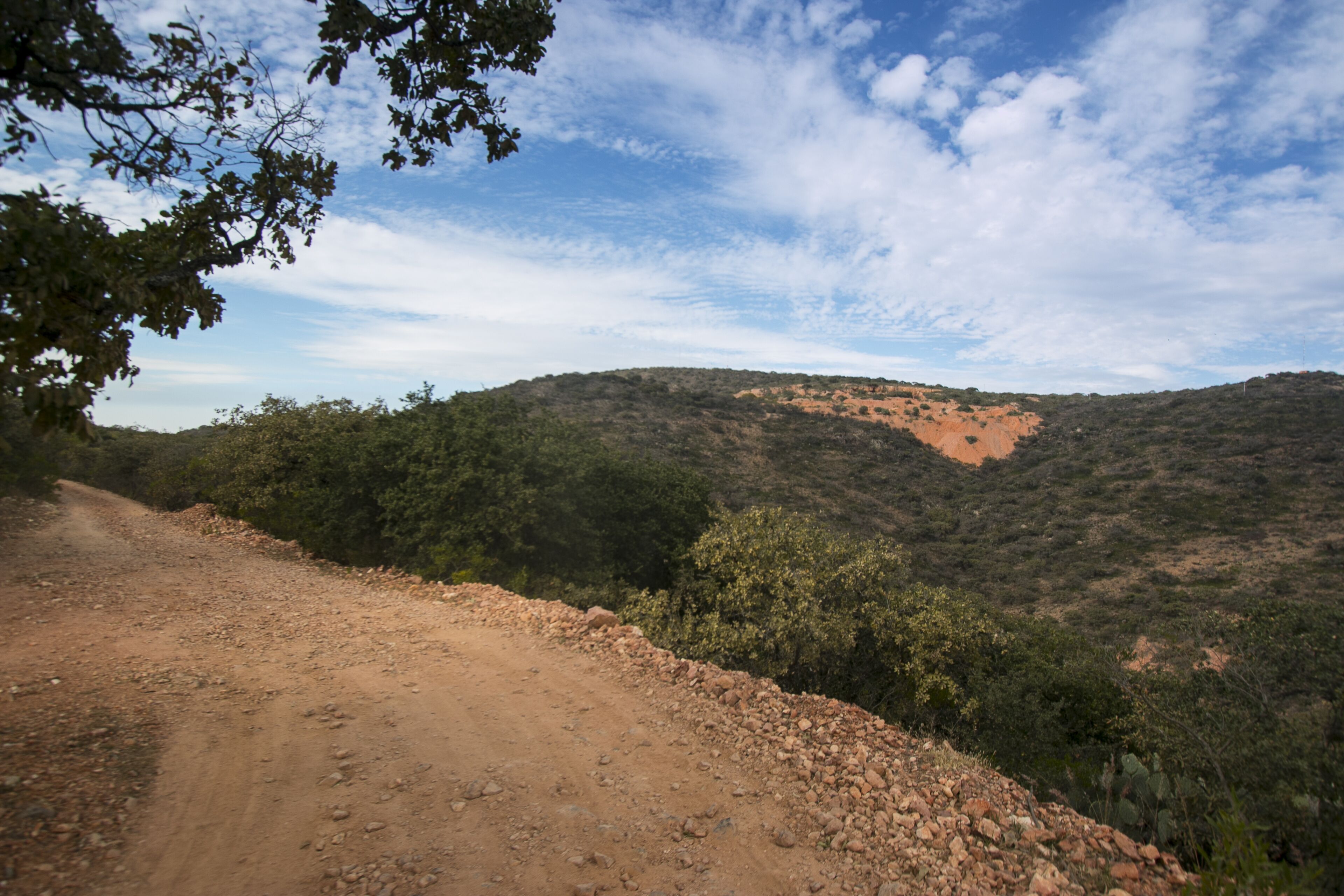 A dirt road winding through a hilly landscape with dense vegetation and a clear sky.