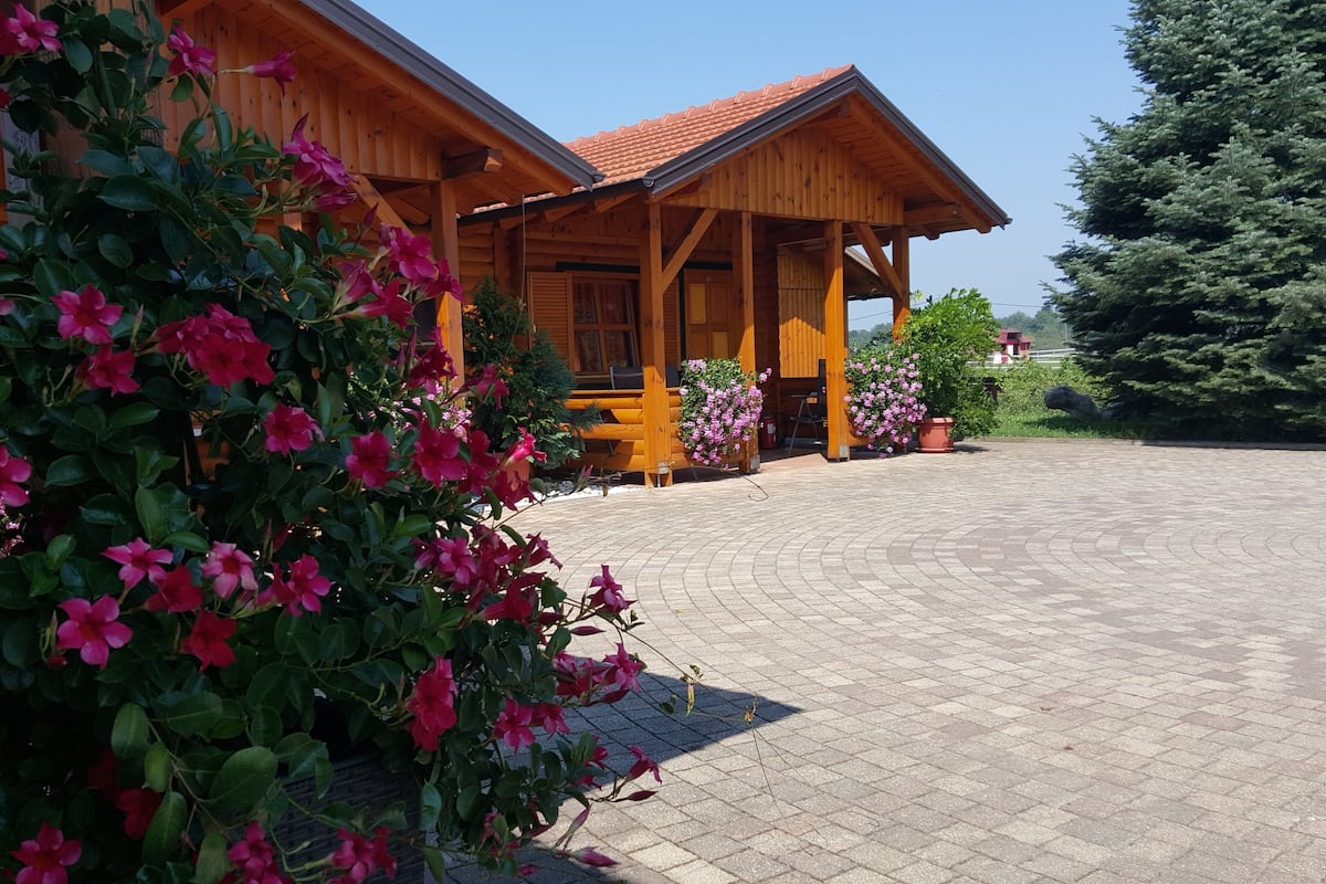 A wooden lodge with a covered porch and a paved driveway.
