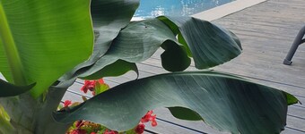 House Tina - Bed and Breakfast